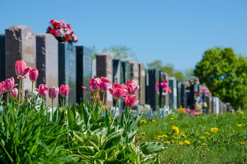 cimetières fleuris