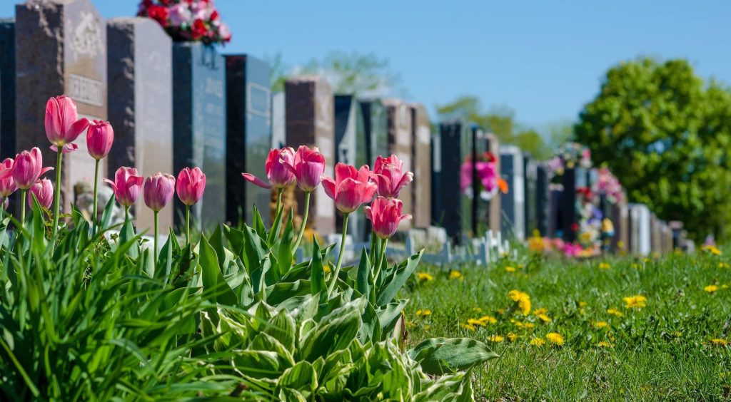 cimetiere fleuri